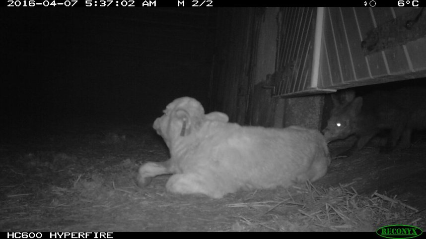 Bilder einer &Uuml;berwachungskamera