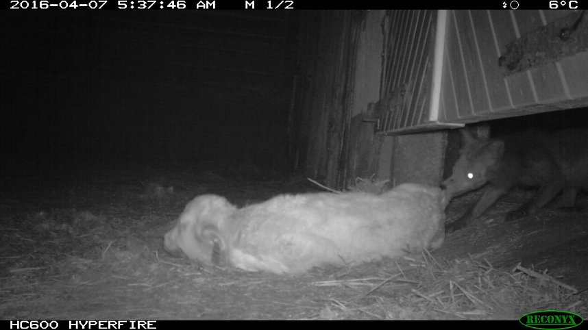 Bilder einer &Uuml;berwachungskamera