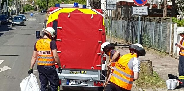 &Ouml;lspuren beseitigt