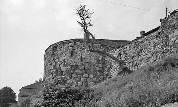 Stadtmauer