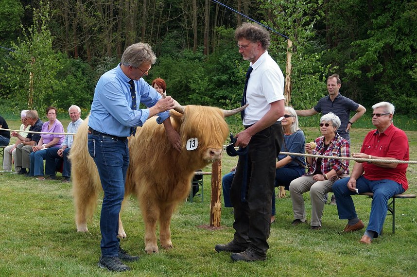 4. Th&uuml;ringer Jungtierschau in Neustadt