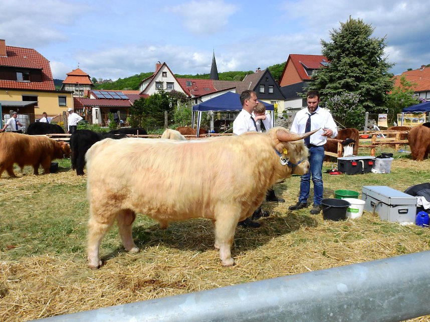 4. Jungtierschau in Neustadt