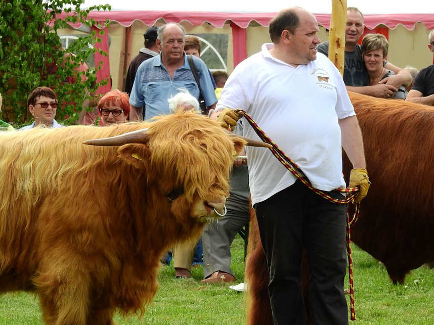 4. Jungtierschau in Neustadt