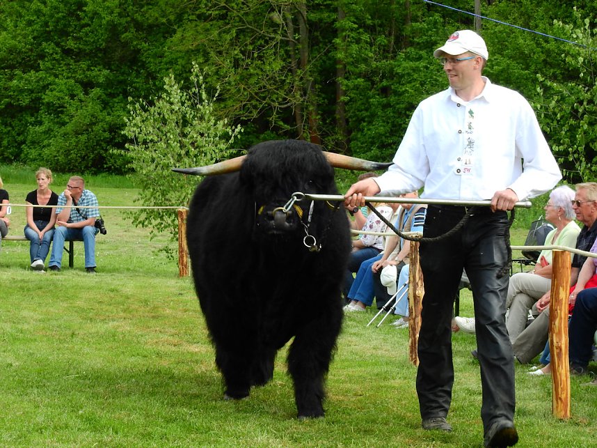 4. Jungtierschau in Neustadt