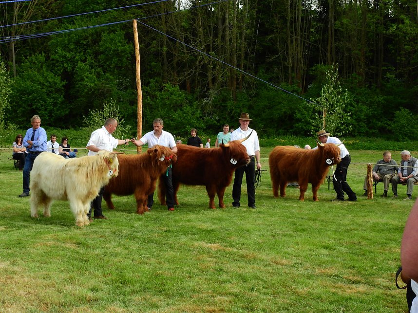4. Jungtierschau in Neustadt