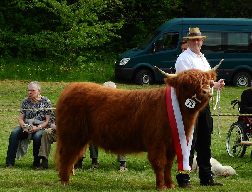 4. Jungtierschau in Neustadt