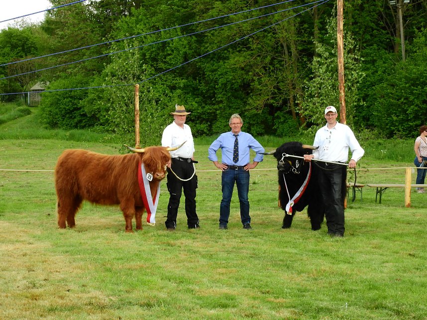 4. Jungtierschau in Neustadt