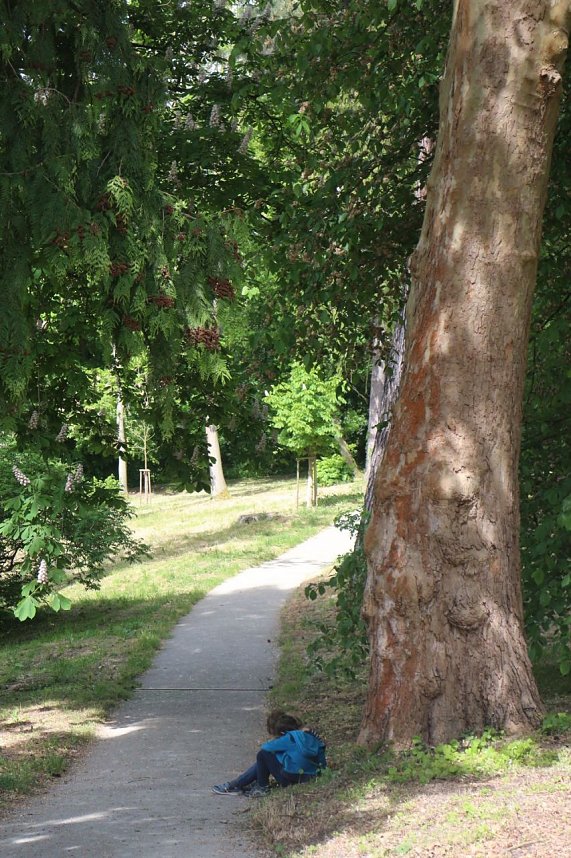 Parkfest in Hohenrode