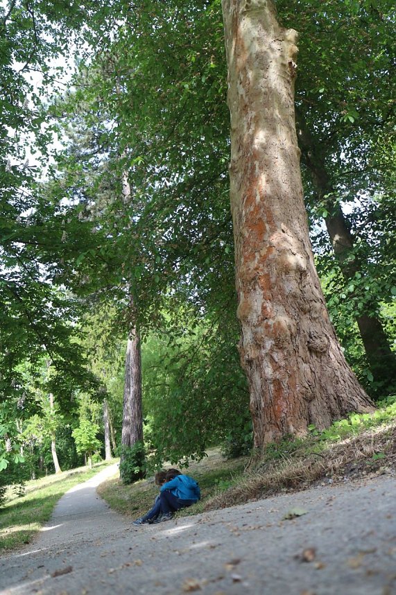 Parkfest in Hohenrode