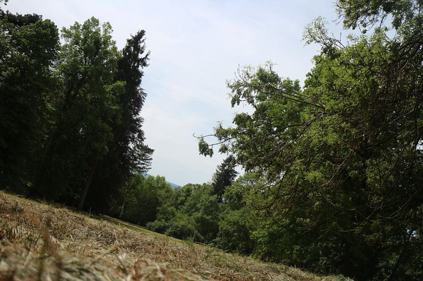 Parkfest in Hohenrode