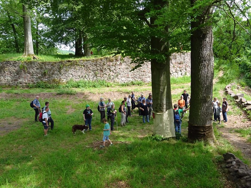 Stempelfieber im S&uuml;dharz