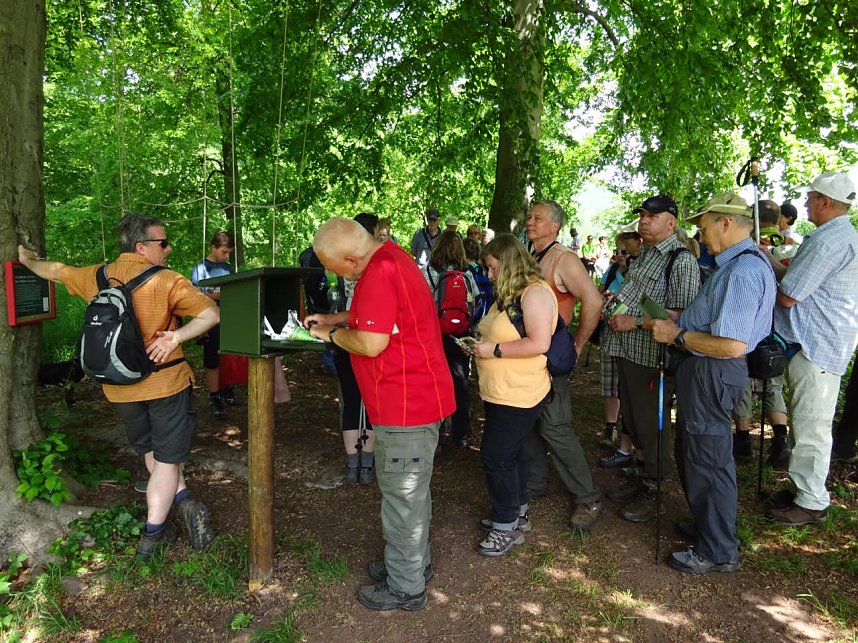 Stempelfieber im S&uuml;dharz