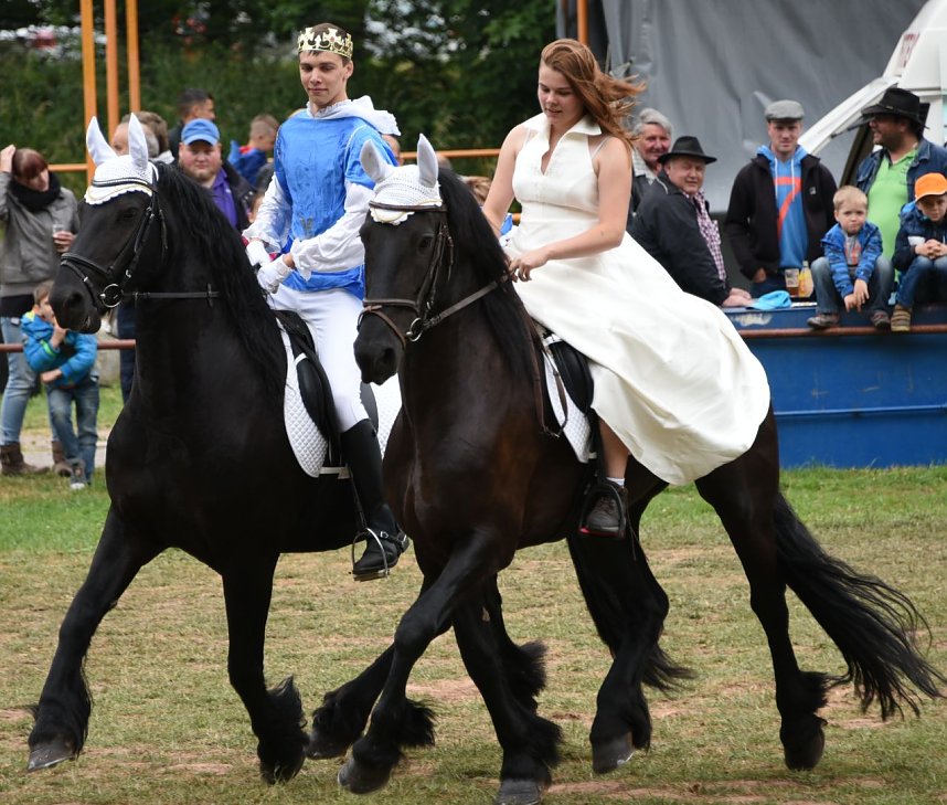 Ponyschau in W&uuml;lfingerode