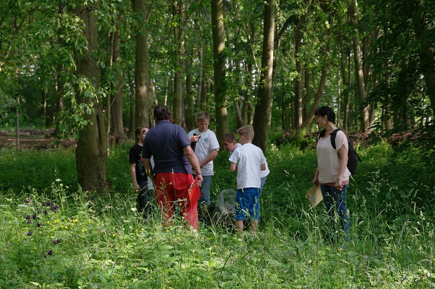 Wettbewerb des Jugendrotkreuz im Landkreis Nordhausen