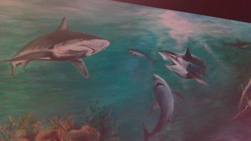 Meeresaquarium in Zella-Mehlis