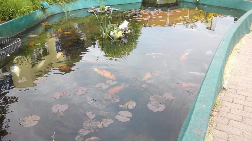 Meeresaquarium in Zella-Mehlis