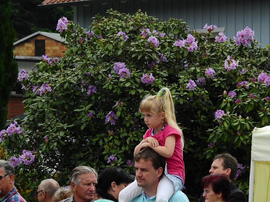 21. Rhododendronfest in S&uuml;lzhayn