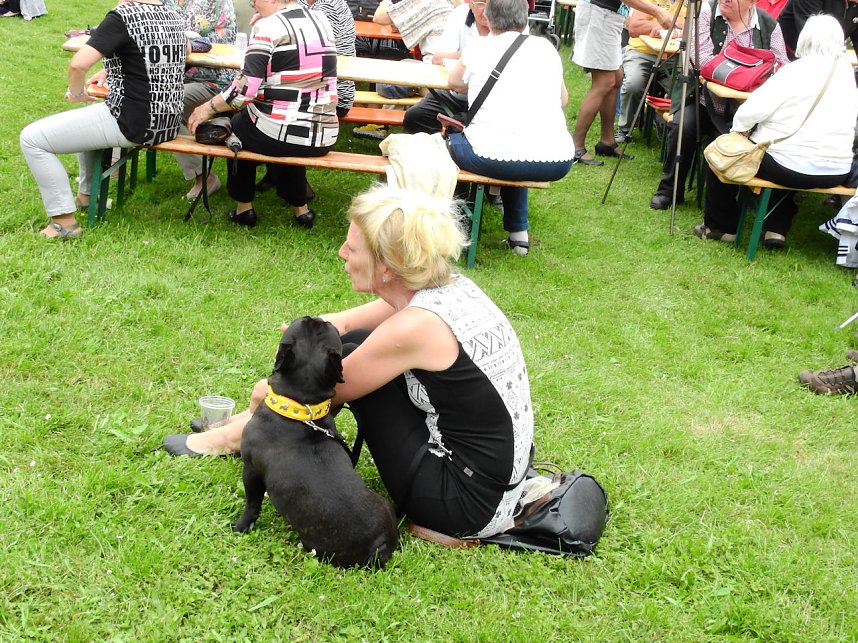 21. Rhododendronfest in S&uuml;lzhayn