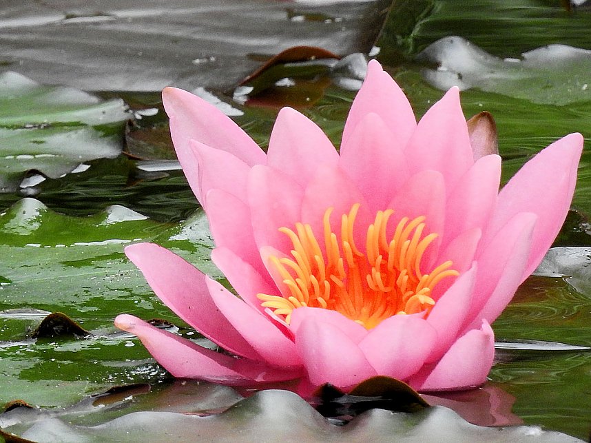 Petersberg zwischen Halle und K&ouml;then