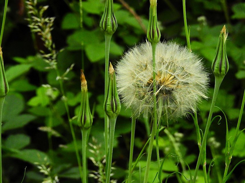 Petersberg zwischen Halle und K&ouml;then