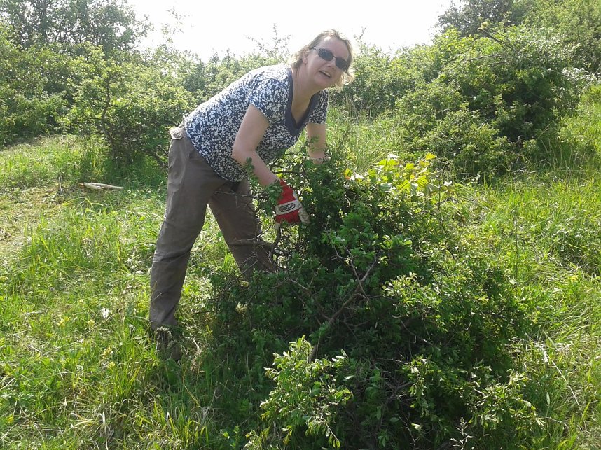 Mit Freischneider und Harke