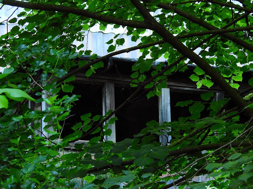 Flugplatz K&ouml;then