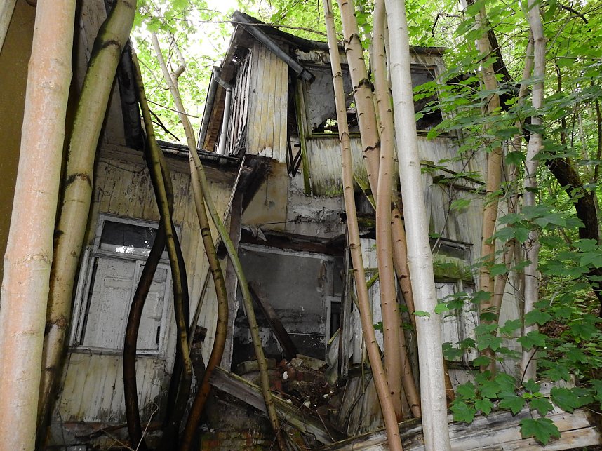 Ehemalige Sanatorien Erholung und Waldpark