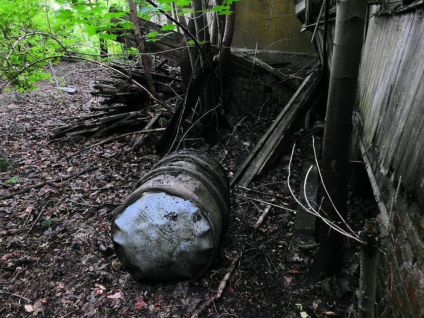Ehemalige Sanatorien Erholung und Waldpark