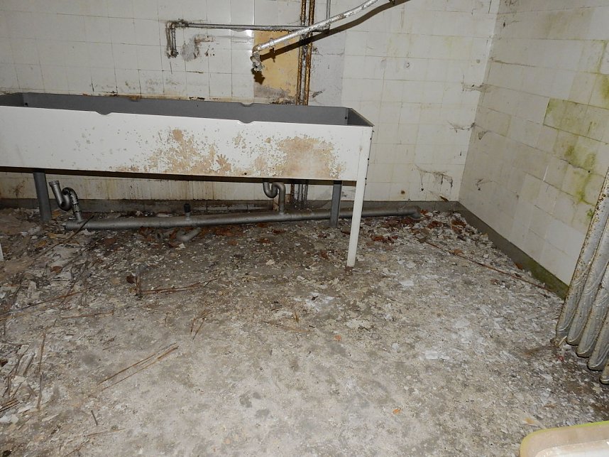 Ehemalige Sanatorien Erholung und Waldpark