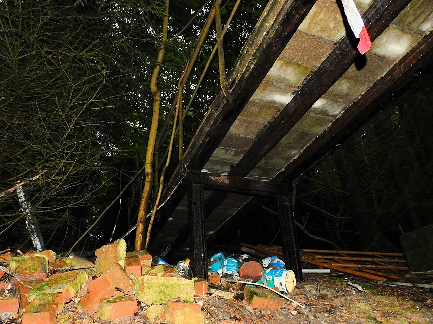 Ehemalige Sanatorien Erholung und Waldpark