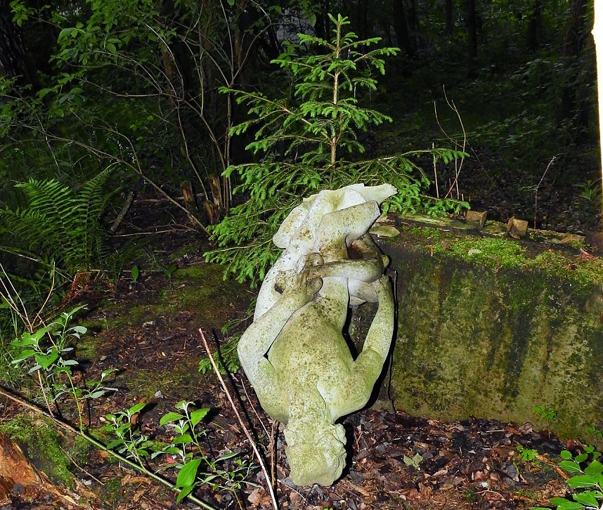 Ehemalige Sanatorien Erholung und Waldpark