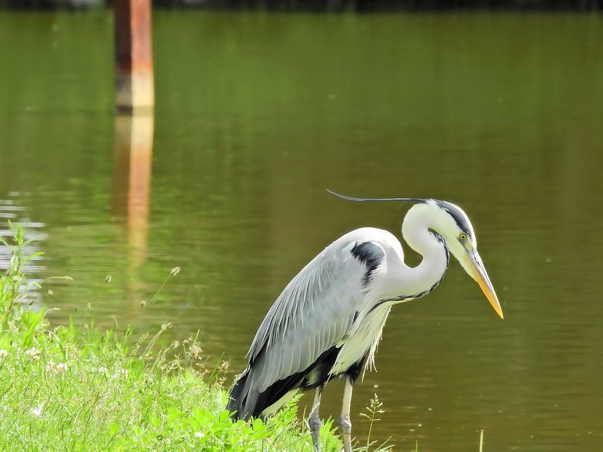 Abstecher in den Schlosspark