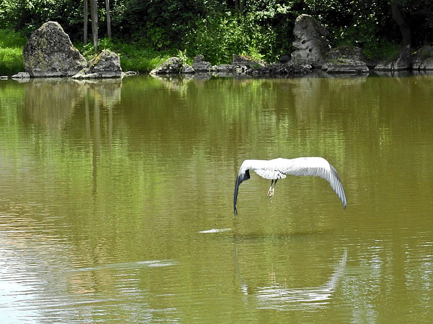 Abstecher in den Schlosspark