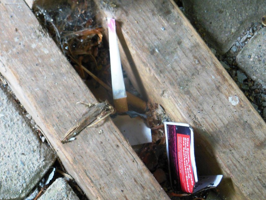 Hinterlassenschaften von besonderen Besuchern