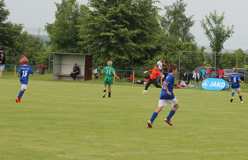 1. teamsportcup 2016 der D - Jugend