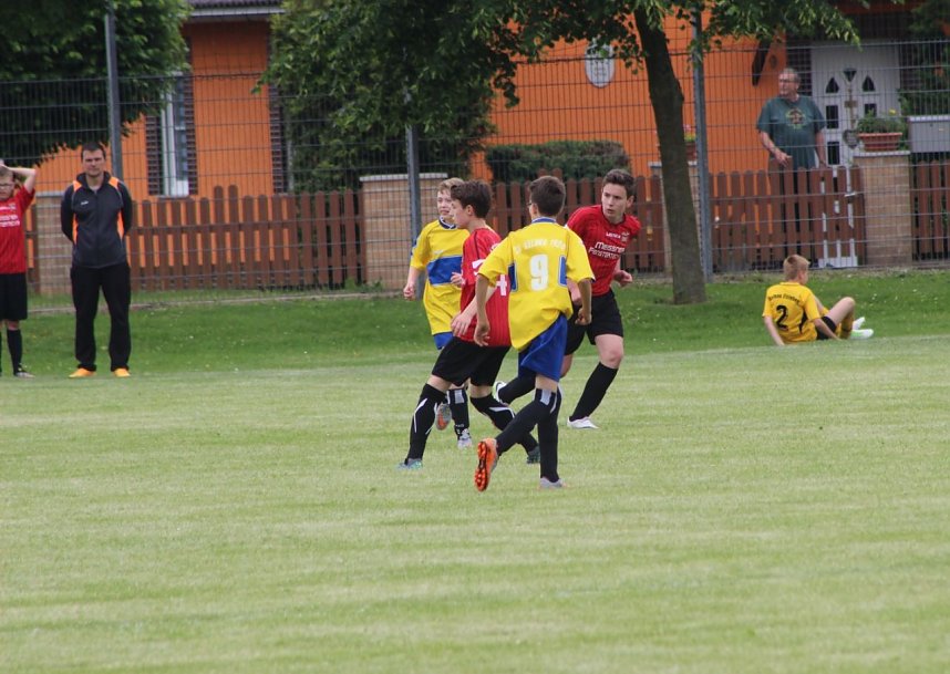 1. teamsportcup 2016 der D - Jugend