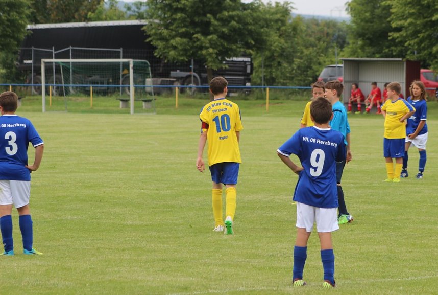 1. teamsportcup 2016 der D - Jugend