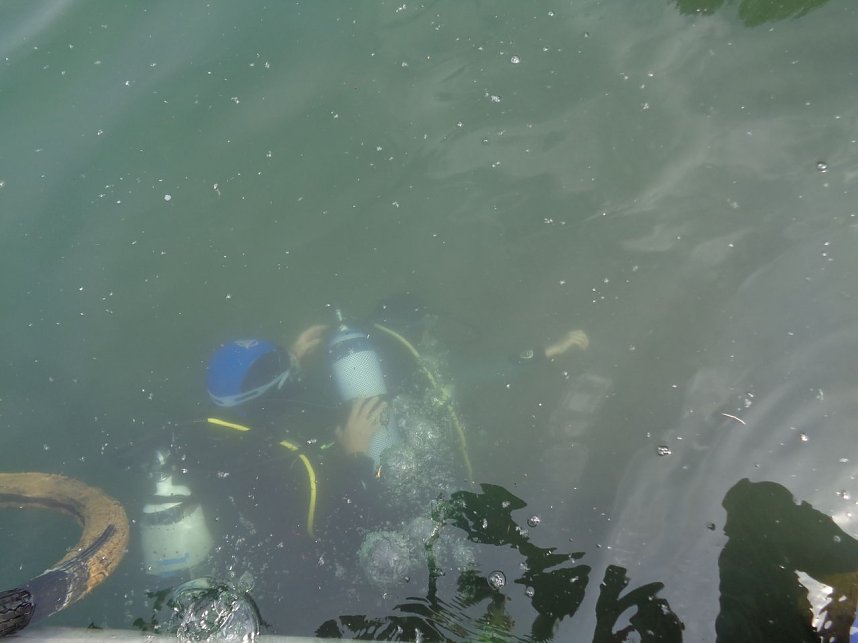 Schnuppertauchen beim TSC Neptun