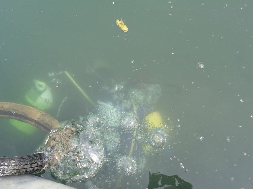 Schnuppertauchen beim TSC Neptun