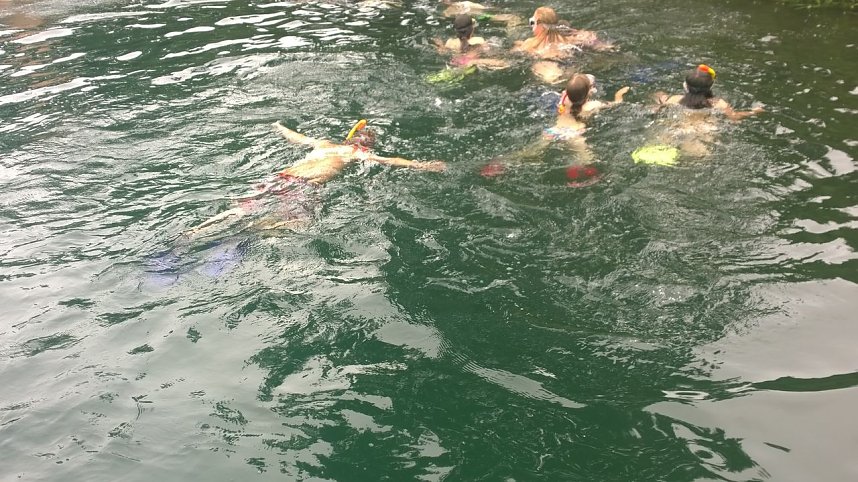 Schnuppertauchen beim TSC Neptun