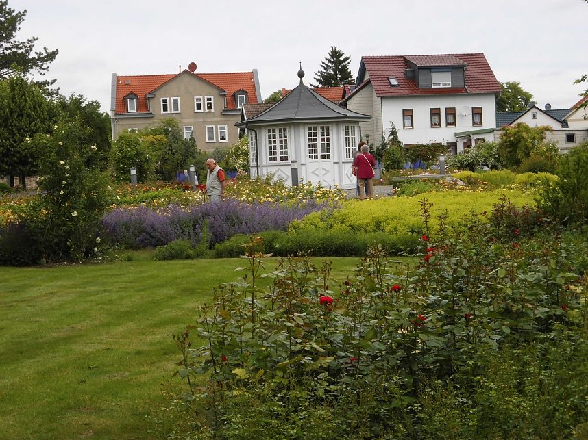 Besuch im Rosengarten in Bad Langensalza