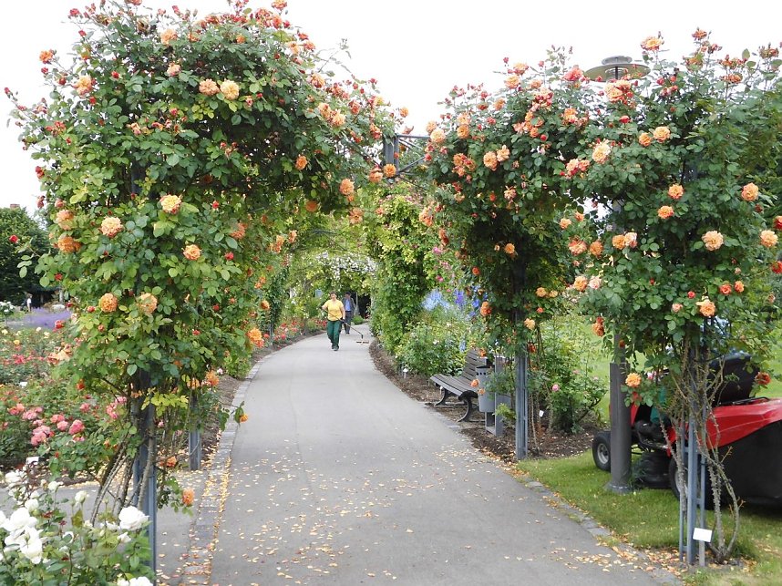 Besuch im Rosengarten in Bad Langensalza