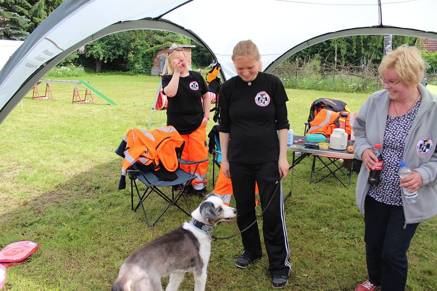 &Uuml;ber 100 K&uuml;nstler zeigen was sie k&ouml;nnen