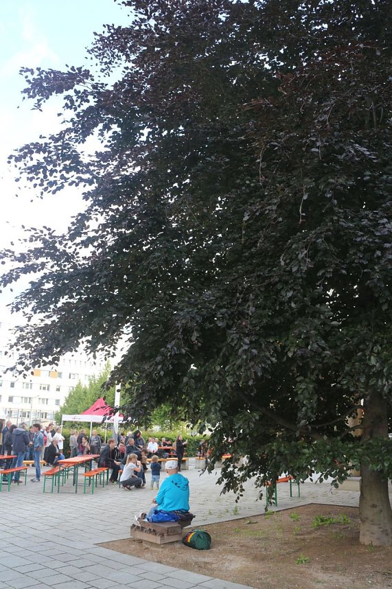 Jazzbaumfest am Nordh&auml;user Theater