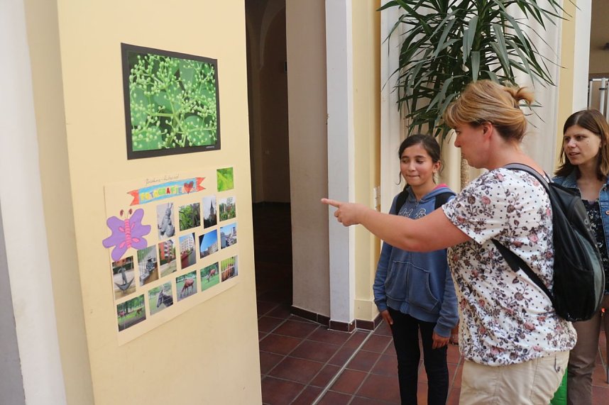 Fotoausstellung im Atrium der Petersbergschule