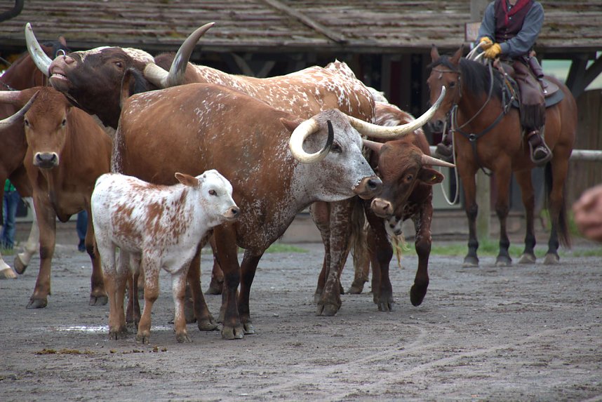 Impressionen aus Pullmann City II in Harzgerode