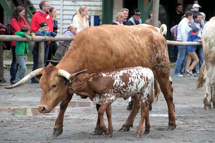 Impressionen aus Pullmann City II in Harzgerode