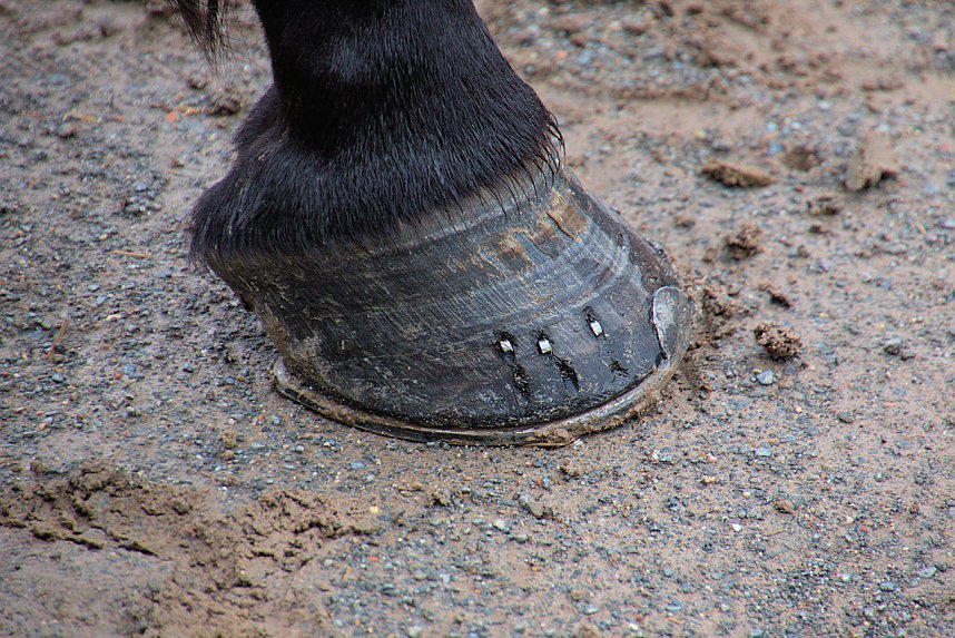 Impressionen aus Pullmann City II in Harzgerode