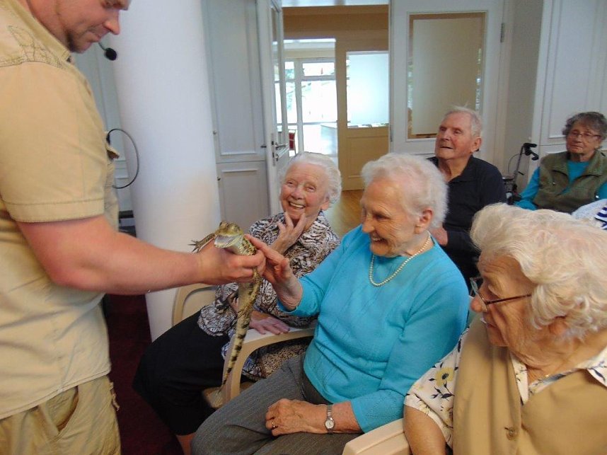 Tierisch, tierisch im Sonnenhof