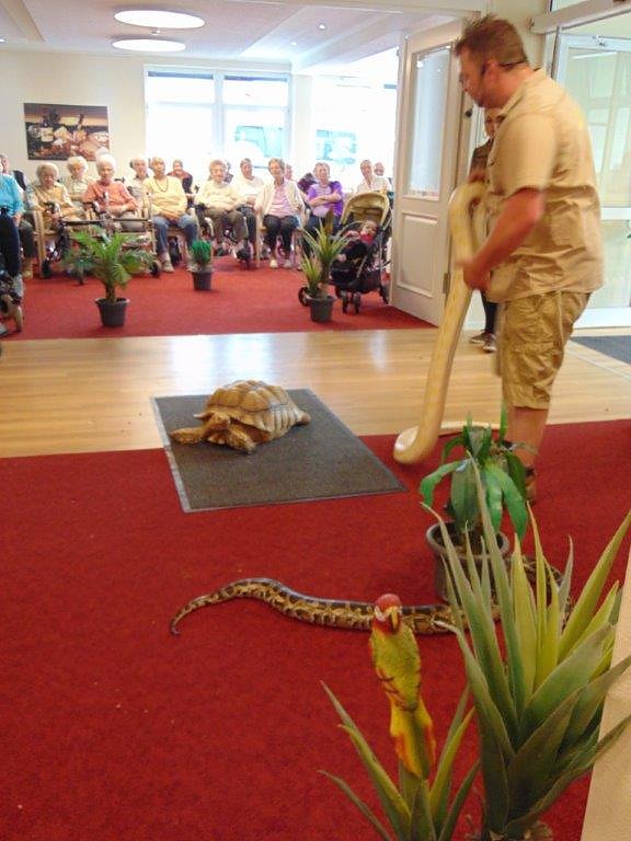 Tierisch, tierisch im Sonnenhof